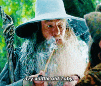 A133CAD8-5CD8-46A3-8BCA-9BA3C76F8054.gif