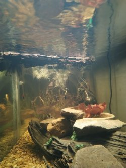 Clear water.jpg