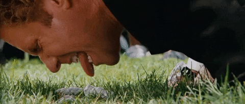 9004C3C0-7F71-45EC-99A5-6BDBC5F94E6B.gif