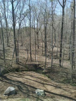 Mar 27 2022, 3pm Eastern 58 degrees.jpg