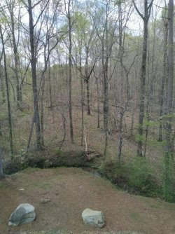 April 9, 3;30pm Eastern 48 degrees.jpg