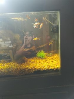 I'm inside my tank..jpg