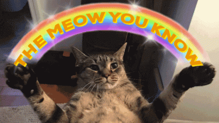 87737EA5-804F-4DED-81D2-53978793B965.gif
