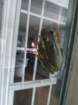 My new guy.jpg