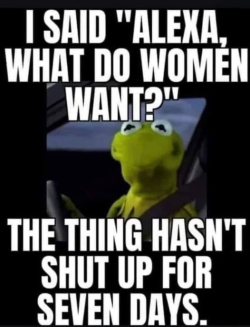1651004644763.png