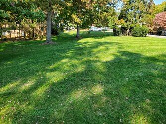 20201017_150755.jpg