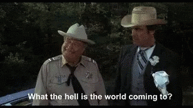 4B3F4E16-7ED2-498B-83AA-3E52995E5432.gif