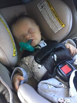 FB_IMG_1603050436792.jpg