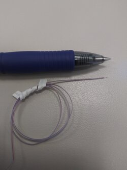 20201020_113503_HDR.jpg