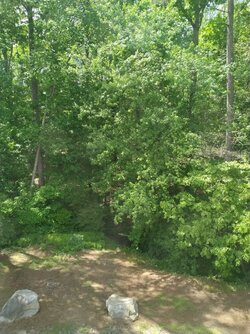 5-3-2022, 2;30pm eastern 84 degrees.jpg