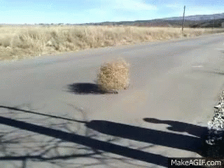 Tumbleweed.gif