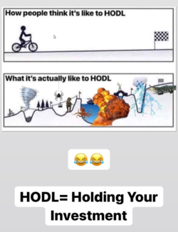 hodling.png
