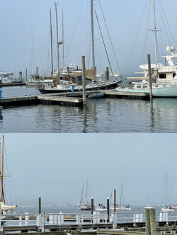 foggynewportharbor-600.png
