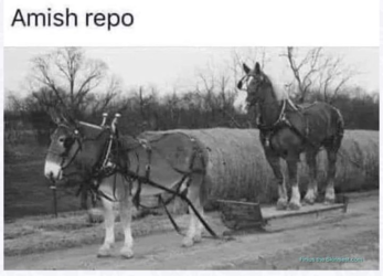 1652796263975.png