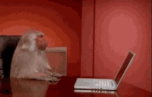 58B9B999-7BEF-4BDA-8732-F1C744E79984.gif