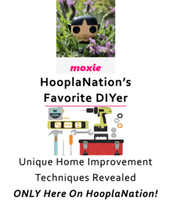 moxiediyer01.png