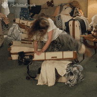 moxie packing.gif