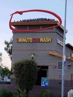 1653665621784.png