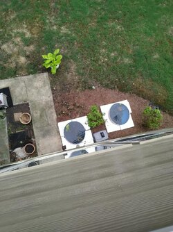 2 kiddie pools for plants.jpg