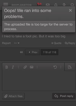 A2582908-4A0D-4A99-9DA5-2D539B4319BC.jpeg