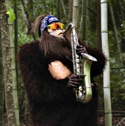 saxquatchlive.png
