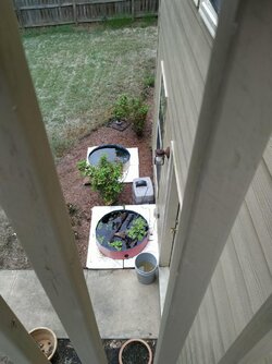 Kiddie pools.jpg