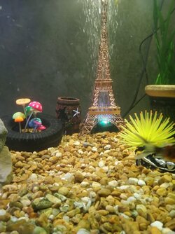 Eiffel Tower.jpg