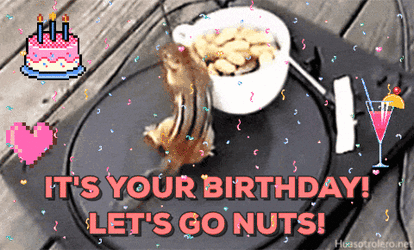 itsyourbdaysquirrel.gif