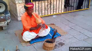 29A4B175-E067-4287-8876-B6666F557822.gif