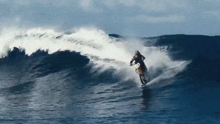 Boh4.gif