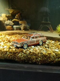 Station wagon.jpg