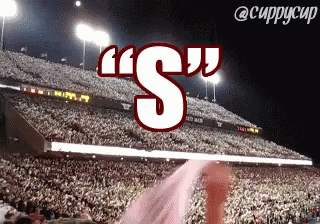 SECchant.gif