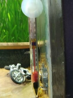 82 degrees water temp.jpg