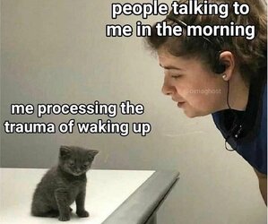 me in the morning - Copy.jpg