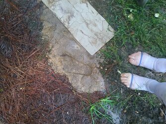 Bigfoot.jpg