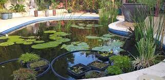 Pool Pond.jpg