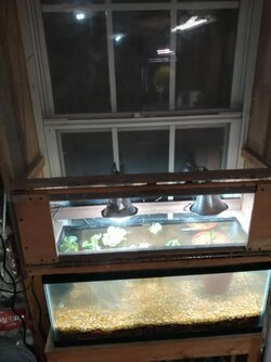 Hobby tank, lit up..jpg