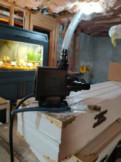Pump for 20 gallon hobby tank.jpg