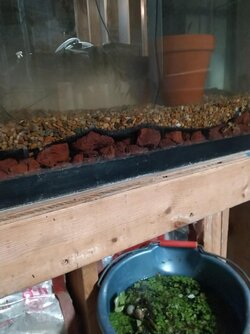 20 gallon long under gravel filter.jpg