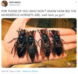 1603725577001.png