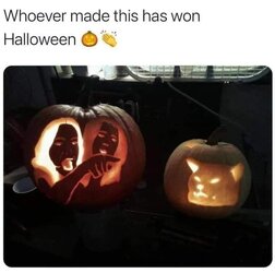 FB_IMG_1603757645653.jpg