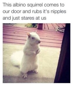 FB_IMG_1603750218085.jpg
