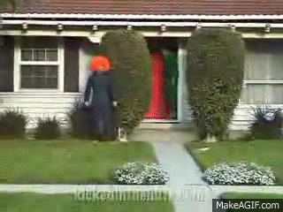 1603948803806.gif