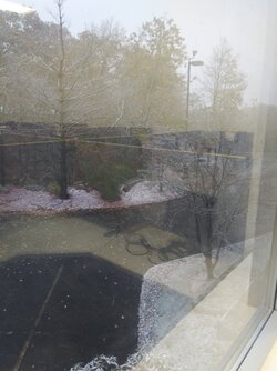 20201030_080212_HDR.jpg