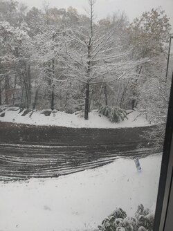 20201030_120245_HDR.jpg