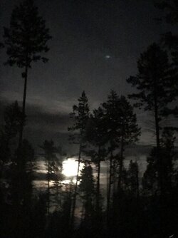 fullmoonhalloween.jpg