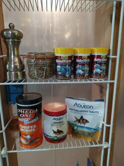 fish food.jpg
