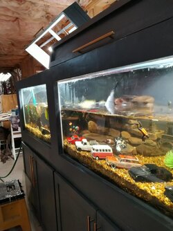 Water Change.jpg