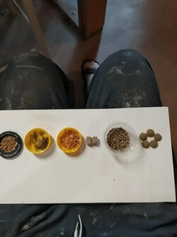 fish food individual.jpg