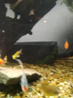 Butters, in middle.jpg